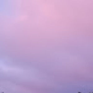 Meet your Posher, Sthrn